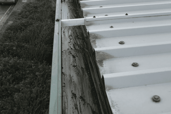 Commercial gutter cleaning specialists in Cobham
